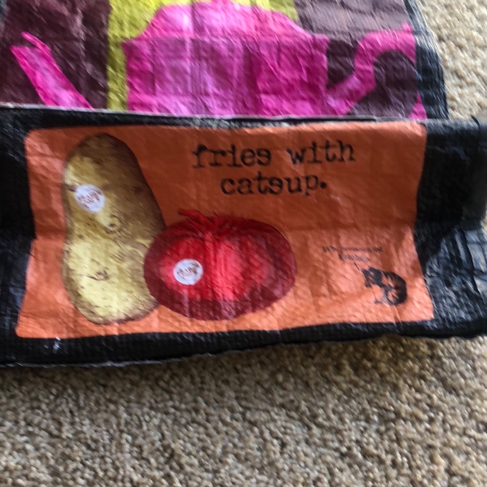 Trader Joe’s Reusable Tote & Brand New Canvas Tote - image 4